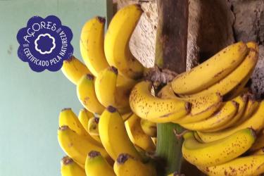 Bananas da Ilha