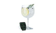 Gin Tónico